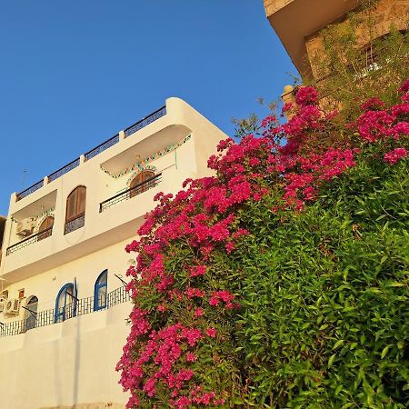Nobatia Guest House 2 阿斯旺 外观 照片